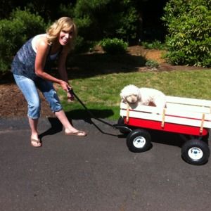 Meet your Posher, Lauri